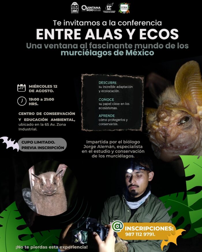 FPMC invita a descubrir secretos de los murciélagos FPMC invita a descubrir secretos de los murciélagos