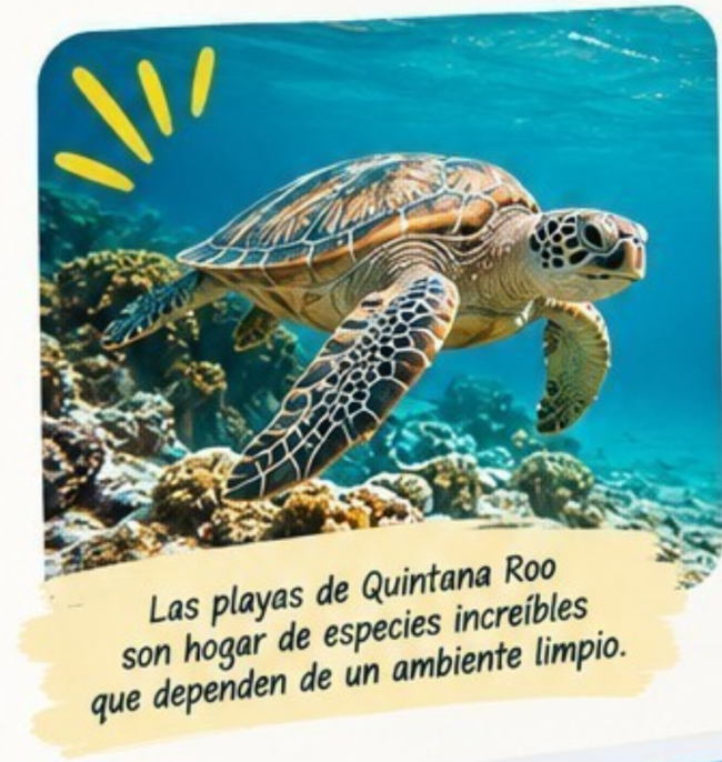 Reduce tu huella